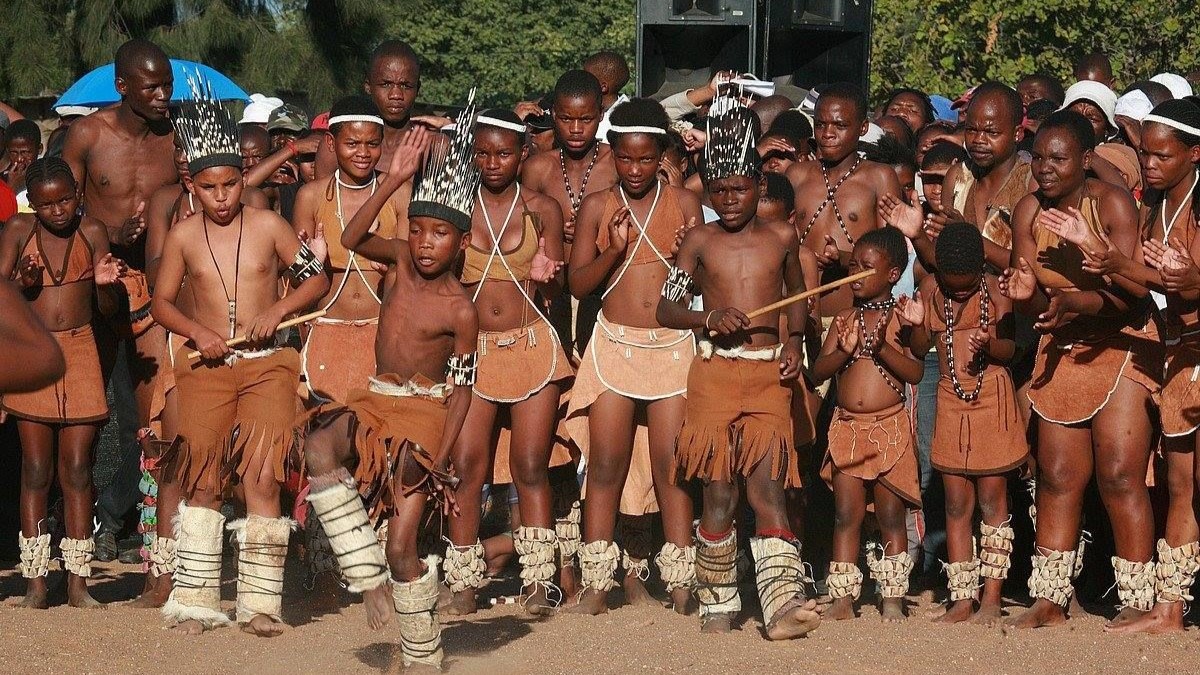 Wilderness Wonders: 5-Day South Africa Tour