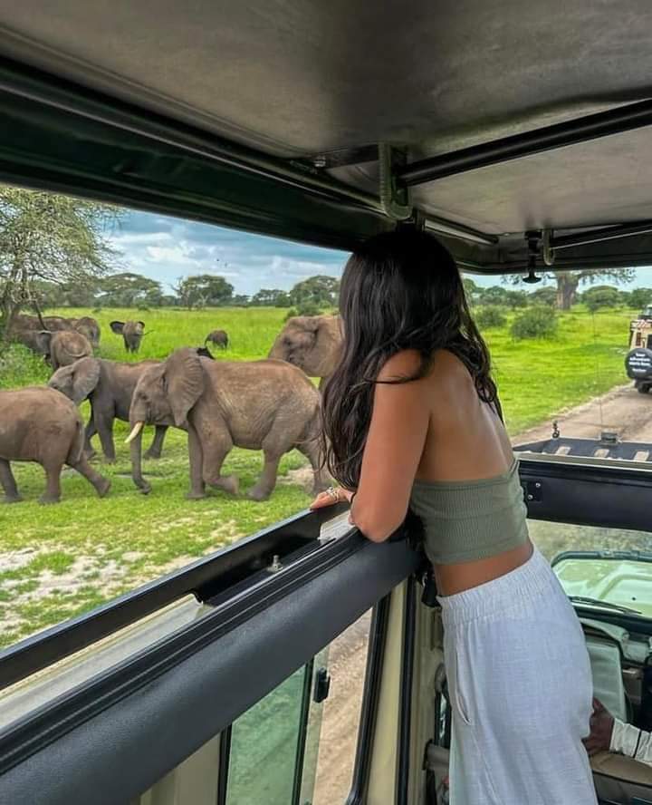 Equator Line in Kenya – Everything You Need to Know