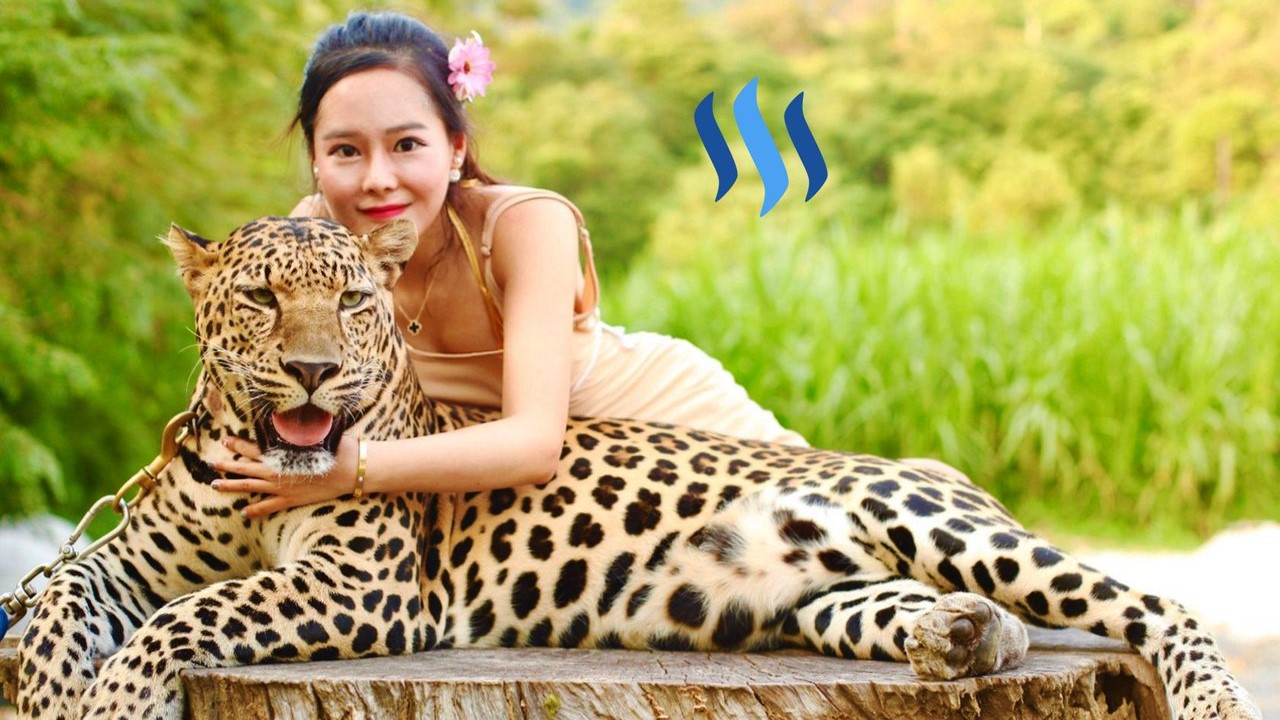 Island Escape: Mohéli Marine Adventure with Hi2Africa