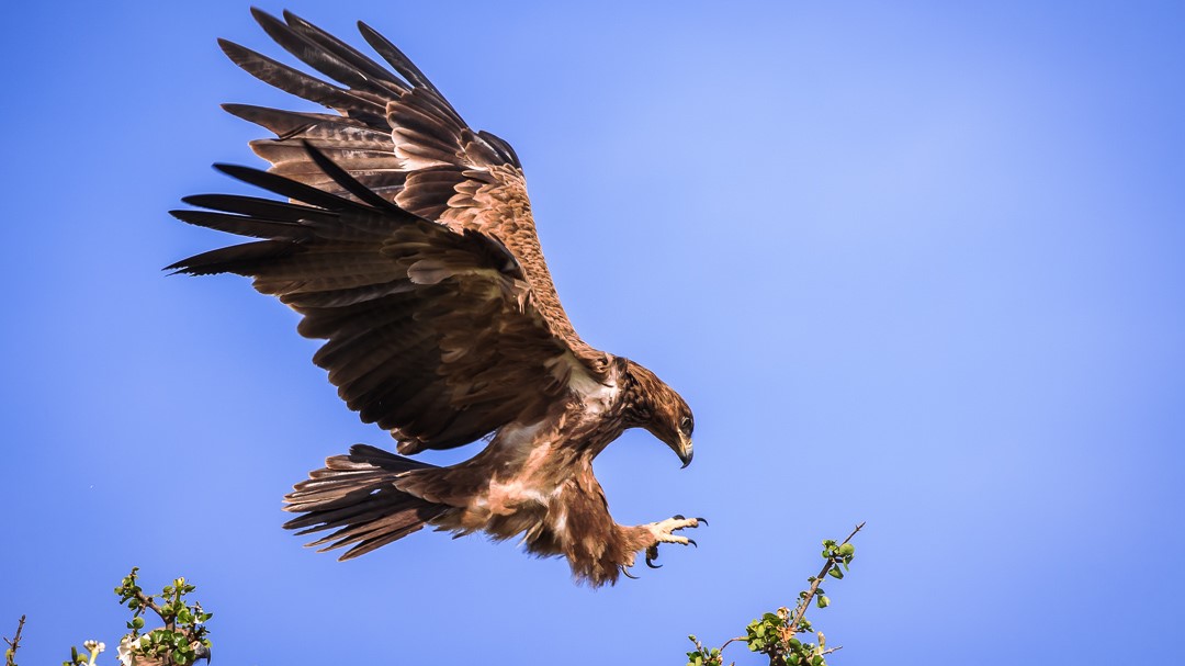 Jewels Of Kenya: 10-Day Safari, Cultural Delights & Coastal Relaxation