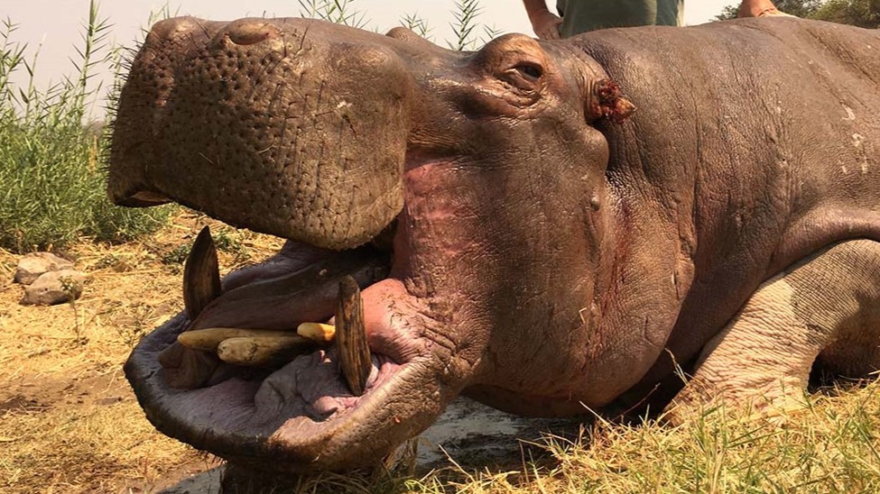 Mozambique Paradise Expedition: A 10-Day Mozambique Adventure