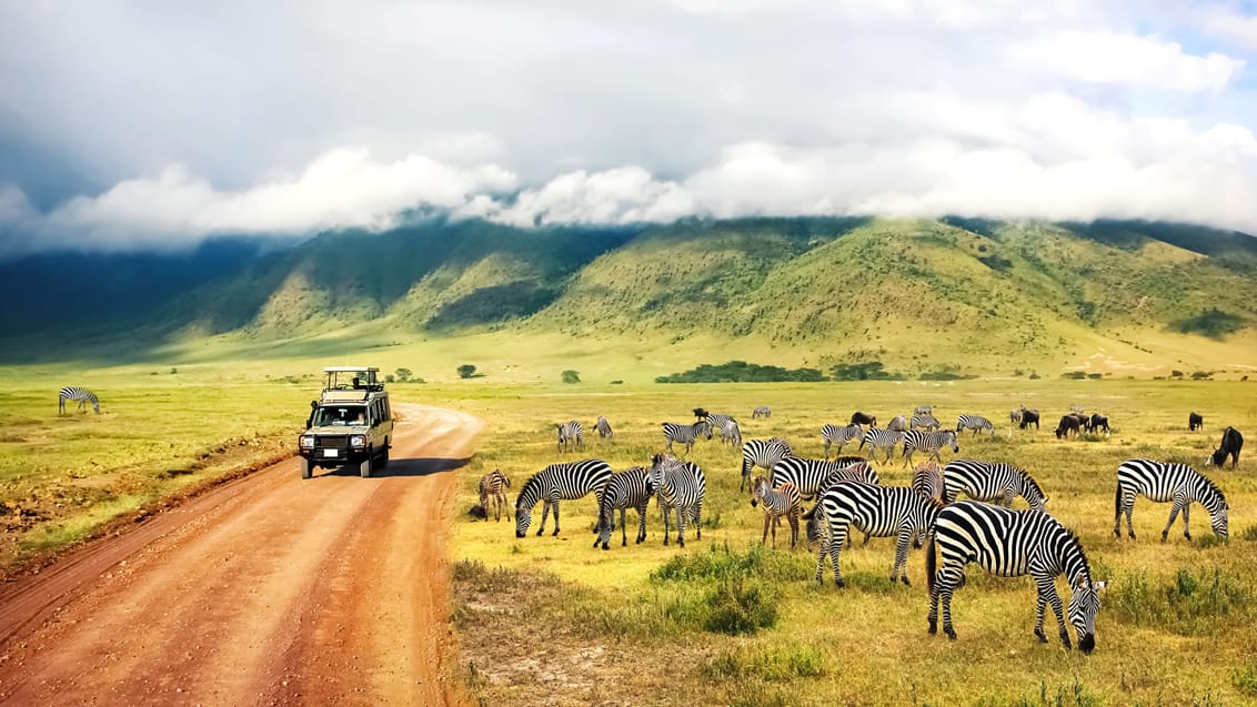 Everything you need to know about traveling to Tanzania